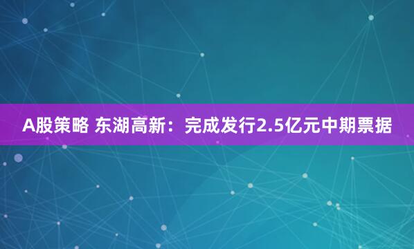 A股策略 东湖高新：完成发行2.5亿元中期票据
